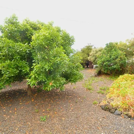 Holiday home Juana Quinta Monte de Brena